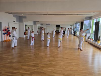 Kata-Training – Biomechanik des Tsuki